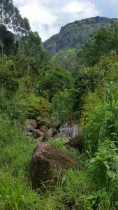 Nuwara Eliya Waterfall - Our Travel Experience
