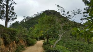 Little Adam's Peak - Our Travel Experience